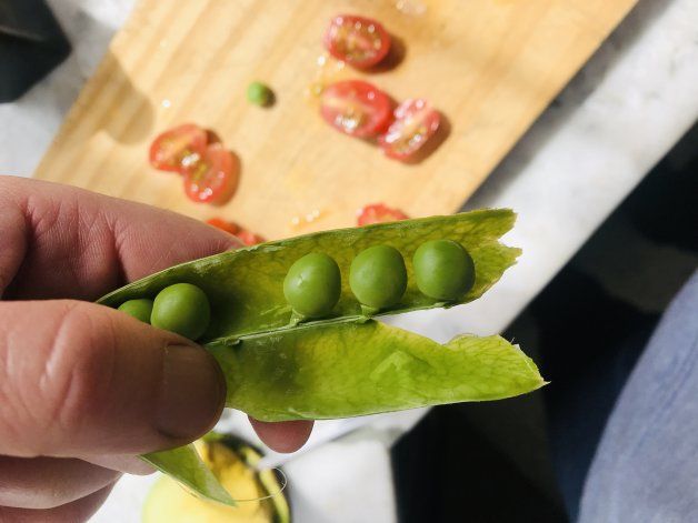 Arvejas frescas en su vaina.