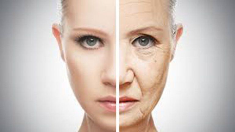 Hay una planta japonesa que puede alargar la vida