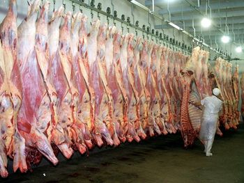 El aumento del valor promedio por tonelada permitió que las exportaciones de carne vacuna generaran ingresos récord en los primeros meses del año. El aumento del valor promedio por tonelada permitió que las exportaciones de carne vacuna generaran ingresos récord en los primeros meses del año.