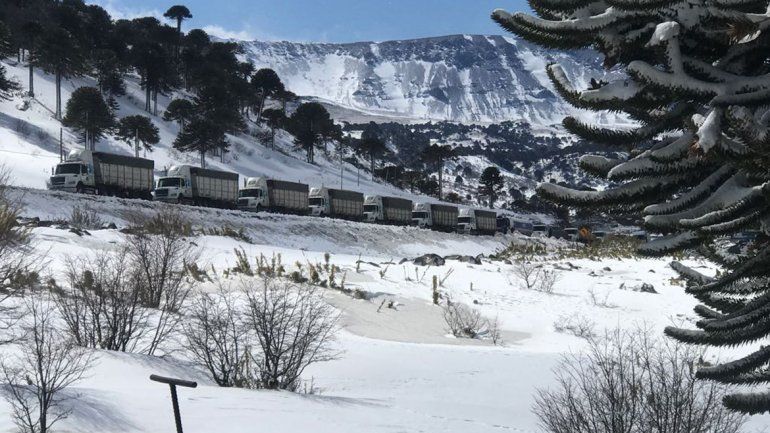 Hay más de 35 camiones varados por el cierre de Pino Hachado