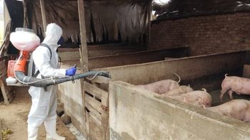 El Senasa reforzó controles para evitar que productos como el jamón ingresen con riesgo sanitario al país. El Senasa reforzó controles para evitar que productos como el jamón ingresen con riesgo sanitario al país.