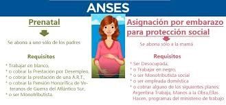 Asignación por Embarazo