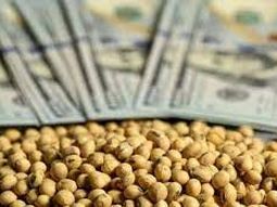 Los dólares de la cosecha gruesa. Allí están puestas todas las esperanzas del Gobierno para domar al mercado cambiario. Los dólares de la cosecha gruesa. Allí están puestas todas las esperanzas del Gobierno para domar al mercado cambiario.