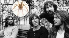 Esta nueva especia fue hallada por los especialistas en Colombia. Foto: Infobae. | LM Neuquen Esta nueva especia fue hallada por los especialistas en Colombia. Foto: Infobae.