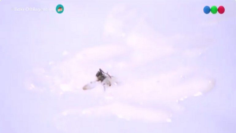 Foto: captura (@cocinatelefe)