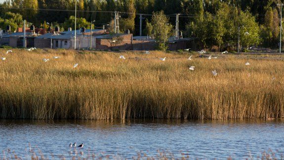 La laguna de San Lorenzo respira con la cuarentena