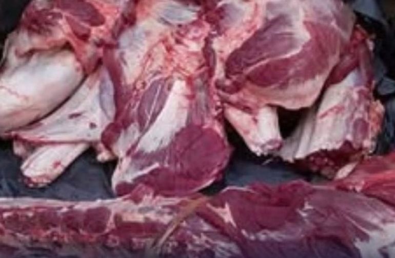 Chubut: los bomberos llevaban la carne sin ningún tipo de refrigeración. Chubut: los bomberos llevaban la carne sin ningún tipo de refrigeración.