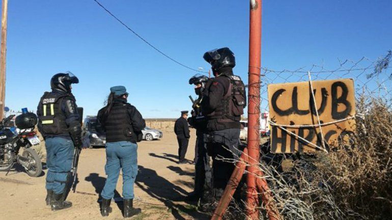 Seis detenidos y el rescate de tres galgos al frustrar una carrera en Plaza Huincul