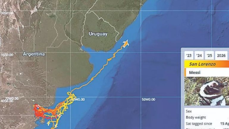 El recorrido de Messi entre el 15 de abril y el 9 de julio de 2026. El recorrido de Messi entre el 15 de abril y el 9 de julio de 2026.