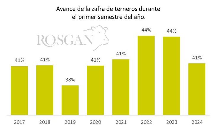 Movimiento de terneros/as desde establecimientos con motivo cría o invernada registrados de enero a junio de cada año y expresados como porcentaje del stock reportado a inicios de cada ciclo. Fuente de datos SENASA Movimiento de terneros/as desde establecimientos con motivo cría o invernada registrados de enero a junio de cada año y expresados como porcentaje del stock reportado a inicios de cada ciclo. Fuente de datos SENASA