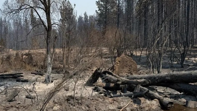 Un indicio relevante encontraron en uno de los lugares donde se desató un incendio en El Bolsón