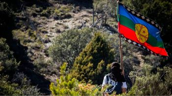 Bandera mnapuche cordillera.jpg