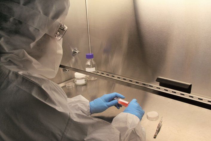 B.I.F.E., la startup argentina que produce carne sin sacrificio animal