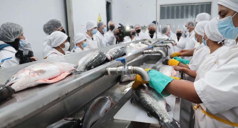 Sale hacia EE.UU. el pescado de Piedra del Águila