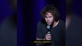 Picun-leufu.jpg