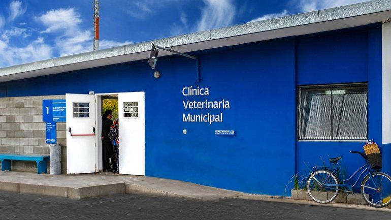 Denuncian a un empleado municipal por abusar de un pony