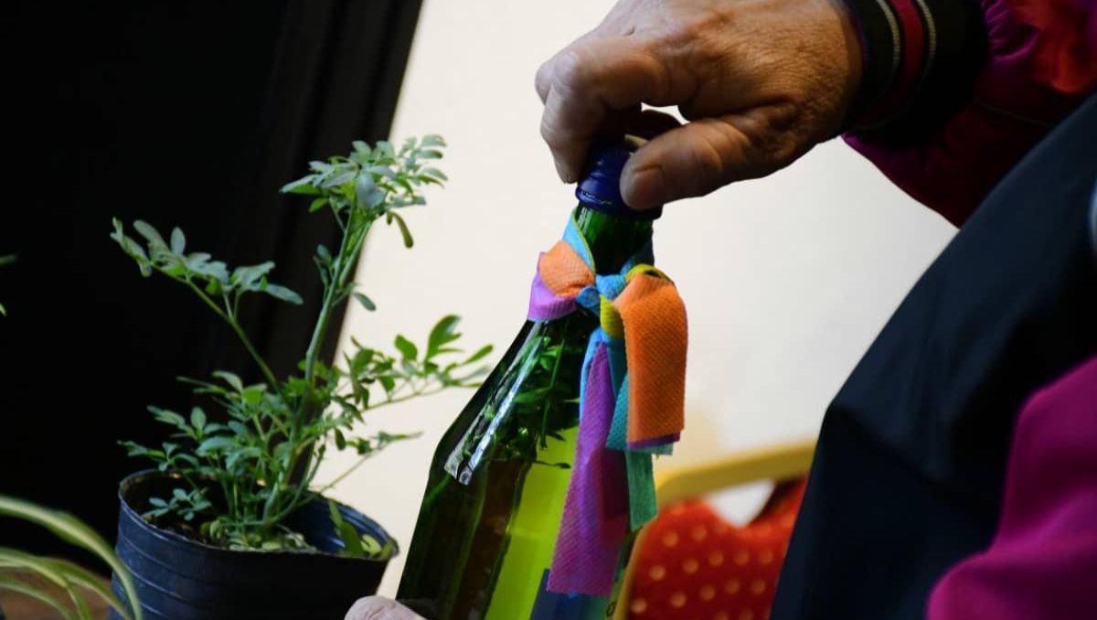 La costumbre de beber caña con ruda se ha instalado con fuerza en distintas partes del país.&nbsp;