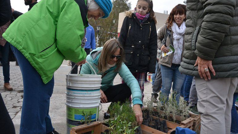 Plantas y compost, en el Día Mundial del Medioambiente