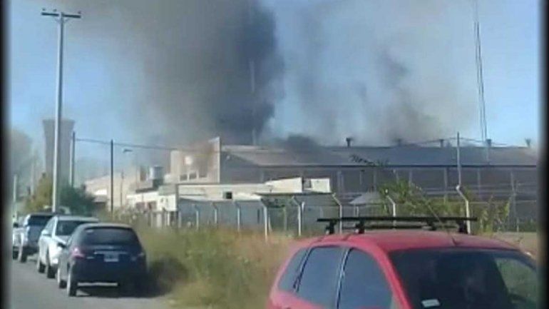 Un incendió destruyó un galpón de empaque en Allen