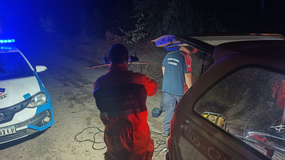 El macabro hallazgo se produjo a la vera de la ruta 7 | LM Neuquen El macabro hallazgo se produjo a la vera de la ruta 7