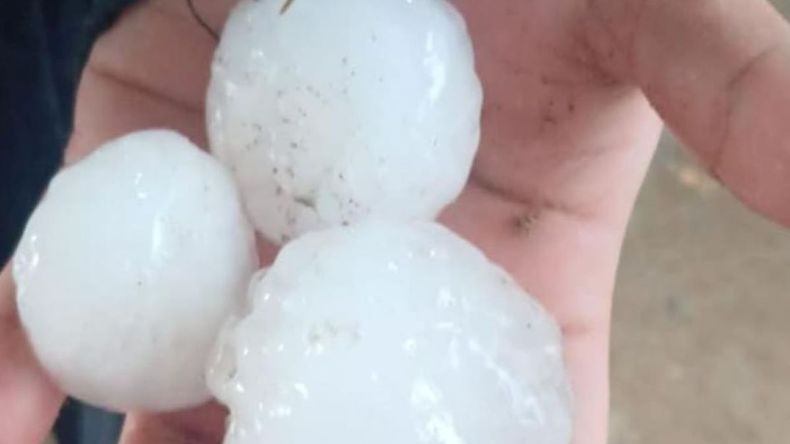 El tamaño más grande del granizo se pudo observar en ciertas mangas que cayeron entre Cipolletti y Allen. | LM Neuquen El tamaño más grande del granizo se pudo observar en ciertas mangas que cayeron entre Cipolletti y Allen.