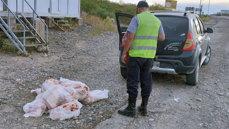 Alarma por Ántrax en vacas: decomisaron más de 130 kilos de carne que venían a Neuquén