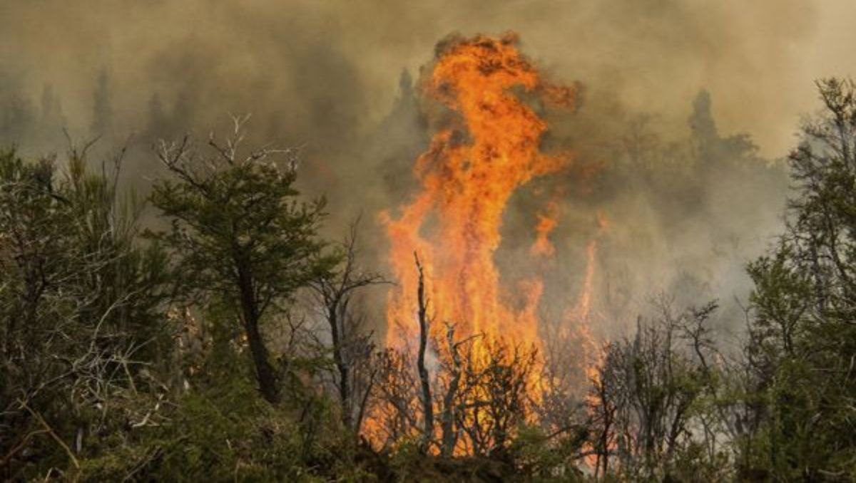 Cholila, una zona de Chubut que suele ser afectada por los incendios forestales.&nbsp;