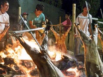 Se faenaron más de 500 animales en la Fiesta Nacional del Chivito.