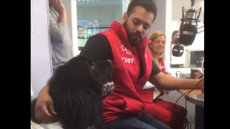 Ringo debutará en el equipo de rescate del SIEN en el Mundial de Rafting