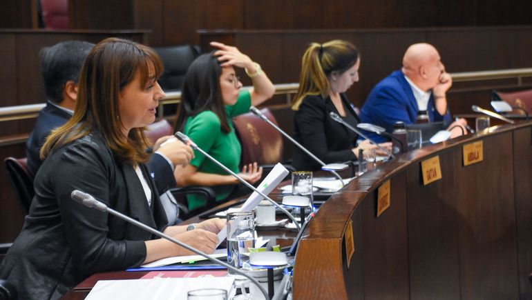Diputados del MPN cuestionaron la autoridad moral a Juntos por el Cambio