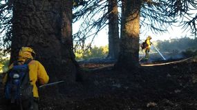 Un fogón mal apagado provocó un incendio en Mirador de Ruca Choroi