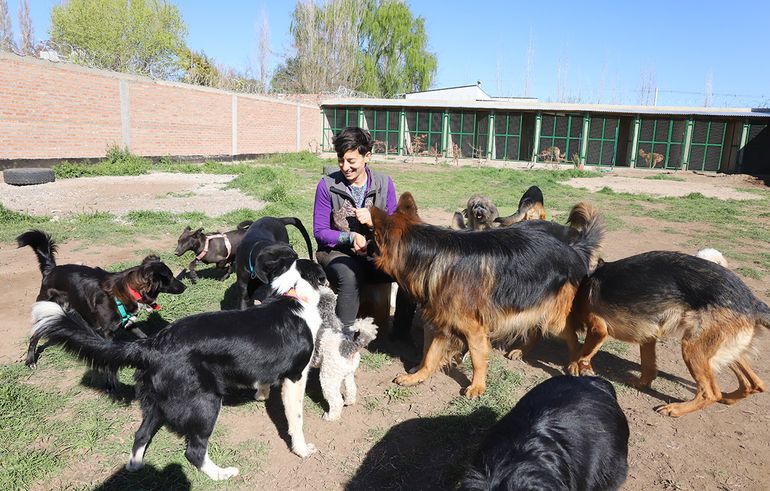 Se cansó de la abogacía y ahora se dedica a educar perros en el barrio Confluencia