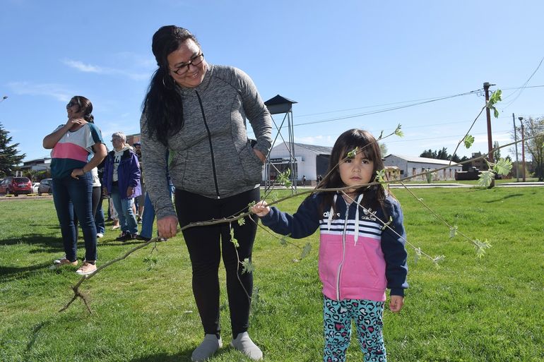  Los árboles que se entregaron provienen de viveros de San Martín de los Andes, 