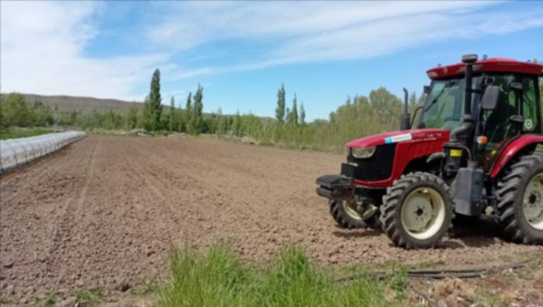 Las siembras de maíz en Santa Cruz arrancaron en noviembre de 2025 y esperan tener las primeras conclusiones en el próximo otoño.&nbsp;