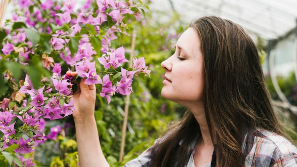 Esperando la primavera: estas 5 plantas no hay que podarlas en septiembre o generarás un daño irreparable