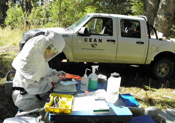 Principales zonas de riesgo