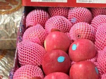china exporta mas fruta, pero gana menos por tonelada