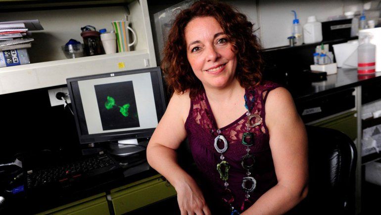 Premio LOréal Unesco por investigar células del cáncer