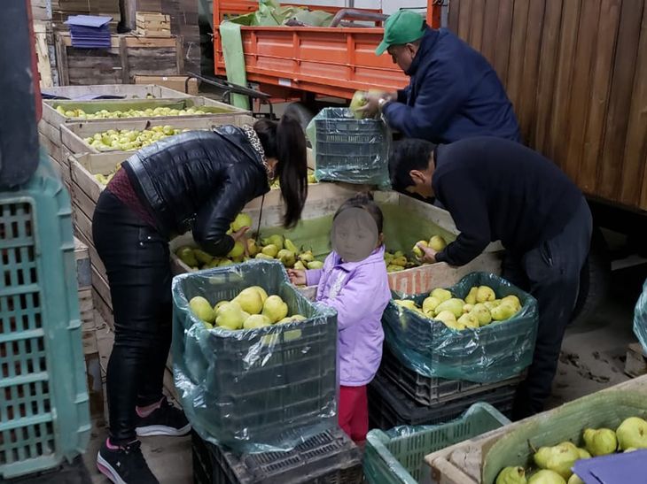 Denunciaron “competencia ilegal”. Foto: gentileza. Denunciaron “competencia ilegal”. Foto: gentileza.