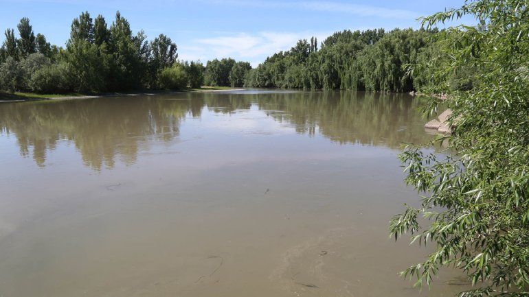 La ribera de la calle 4. El río Neuquén tiene costas naturales frondosas.