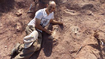 asombroso hallazgo de huesos en neuquen conmociona a la paleontologia
