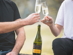 Cada cuarto viernes de octubre se festeja el Día Internacional del Espumante. Foto: Bodega Familia Schroeder Cada cuarto viernes de octubre se festeja el Día Internacional del Espumante. Foto: Bodega Familia Schroeder