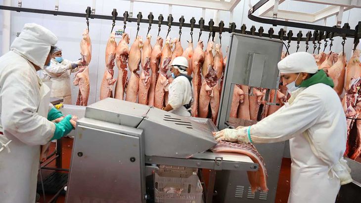 Con alto valor proteico y vitaminas B, el cerdo combina precio accesible, sabor y versatilidad en la cocina diaria. Con alto valor proteico y vitaminas B, el cerdo combina precio accesible, sabor y versatilidad en la cocina diaria.