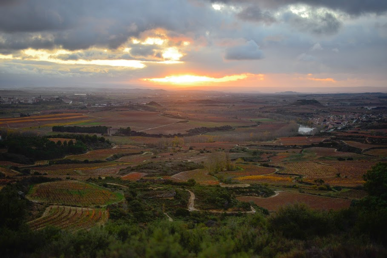 Una curiosidad: ¿puede un viñedo tener identidad?