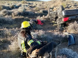 Fuerte vuelco en Piedra del Águila: emotivo rescate de dos personas y sus perros