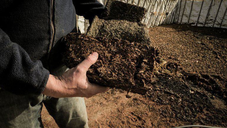 Conocé la leña orgánica que ya se utiliza en el Alto Valle y tiene un futuro prometedor
