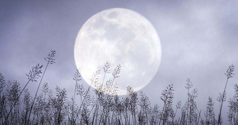 La Luna de Nieve se conoce también como Luna Brillante por su intensidad lumínica.