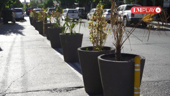 ¿Quién riega las plantas neuquinas?