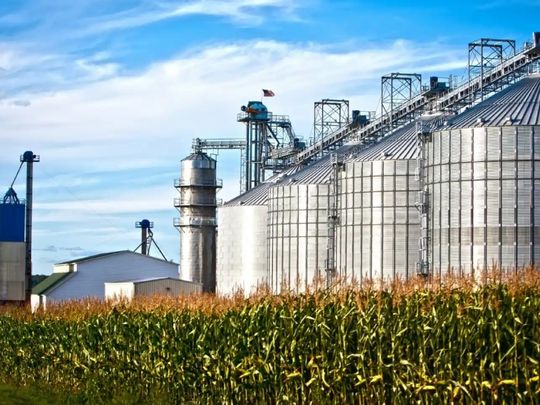 El sector de biocombustibles se reúne en Tucumán.