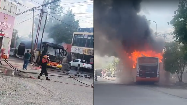 Un grave incendio destruyó un colectivo en Plottier